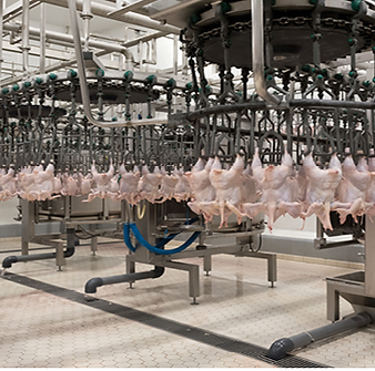 Piliç Üretim Tesisi SCADA